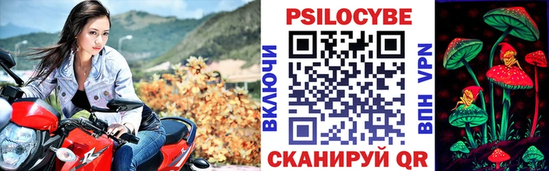 Псилоцибиновые грибы Psilocybe  Кубинка 