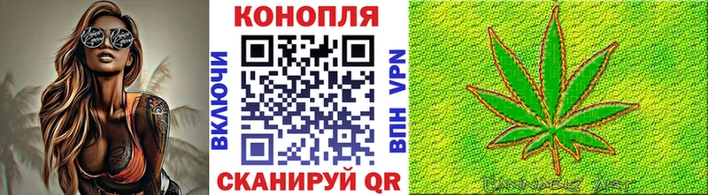 купить цена Кубинка Бошки марихуана ГИДРОПОН